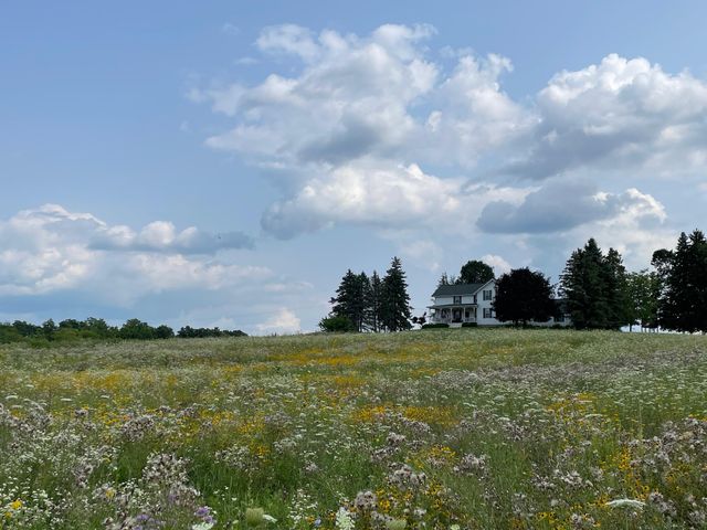 8885 Burmeister Road, Bridgewater Twp, MI 48176