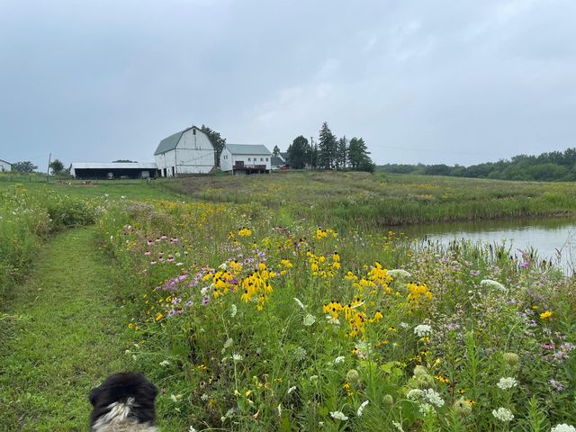 8885 Burmeister Road, Bridgewater Twp, MI 48176