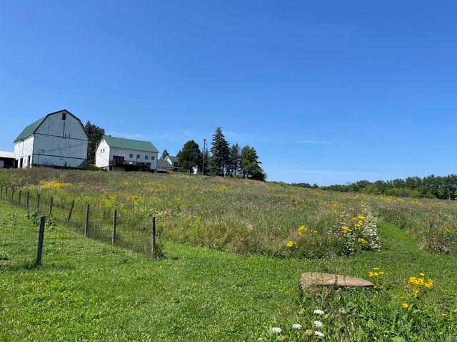 8885 Burmeister Road, Bridgewater Twp, MI 48176