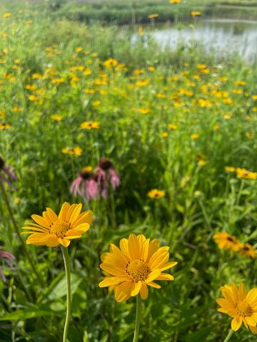 8885 Burmeister Road, Bridgewater Twp, MI 48176