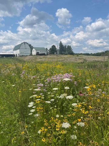 8885 Burmeister Road, Bridgewater Twp, MI 48176