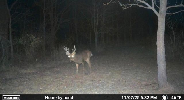 8885 Burmeister Road, Bridgewater Twp, MI 48176