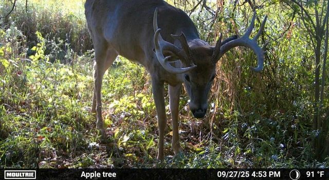 8885 Burmeister Road, Bridgewater Twp, MI 48176