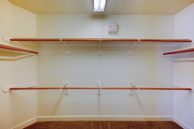 1650 Pelago Street, League City, TX 77573