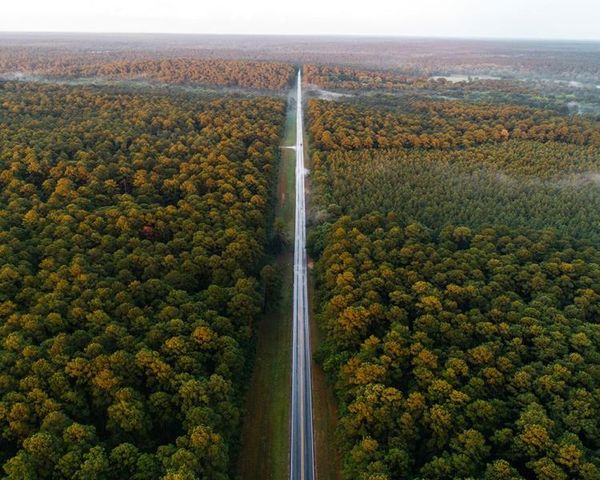 129 Bunkhouse Road, New Waverly, TX 77340