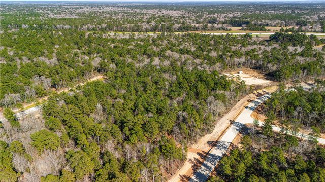 129 Bunkhouse Road, New Waverly, TX 77340