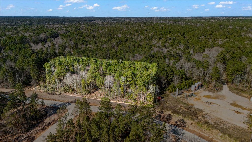 129 Bunkhouse Road, New Waverly, TX 77340