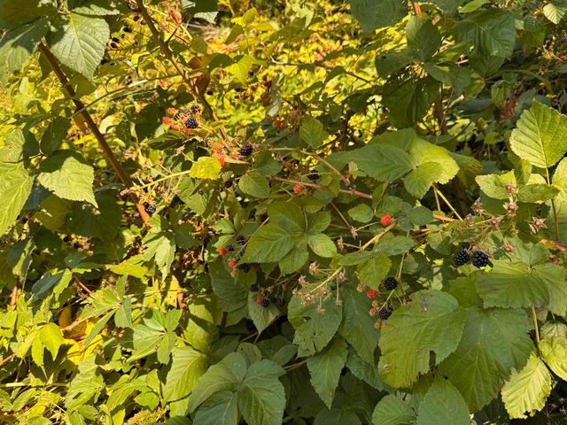 25 Sweat Street, Richford, VT 05476