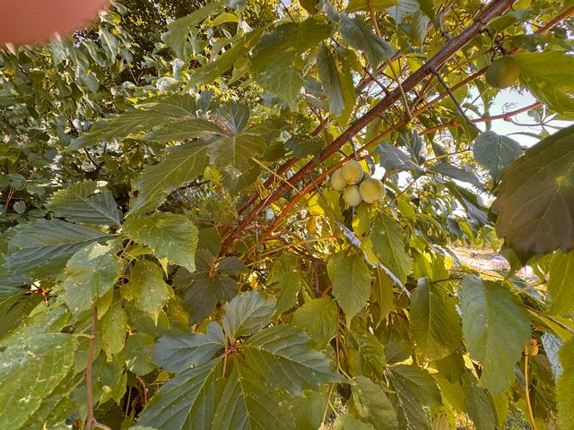 25 Sweat Street, Richford, VT 05476