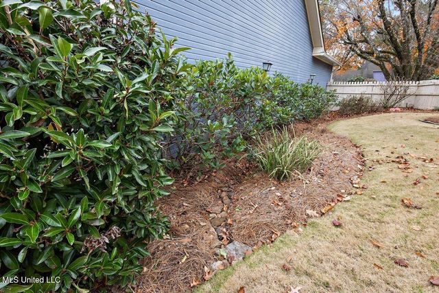 225 Heather Glen Way, Madison, MS 39110