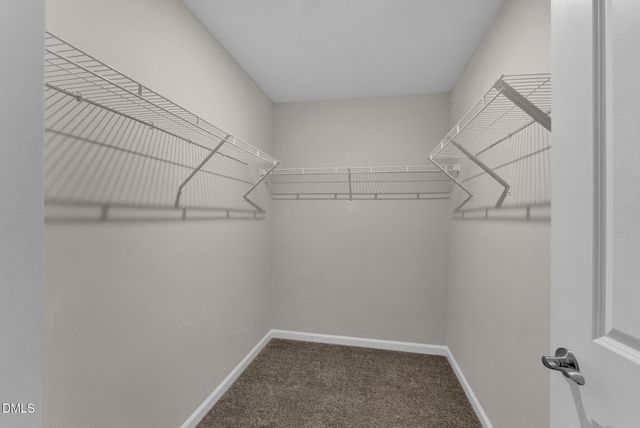 1017 Badlands Street, Durham, NC 27713