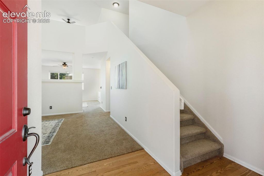 6347 Alibi Circle, Colorado Springs, CO 80923 — photo 3