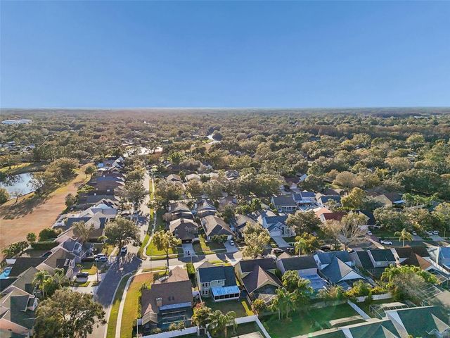 14505 THORNFIELD COURT, Tampa, FL 33624