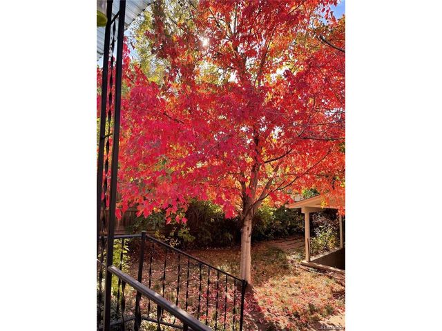 1143 S Corona St, Denver, CO 80210