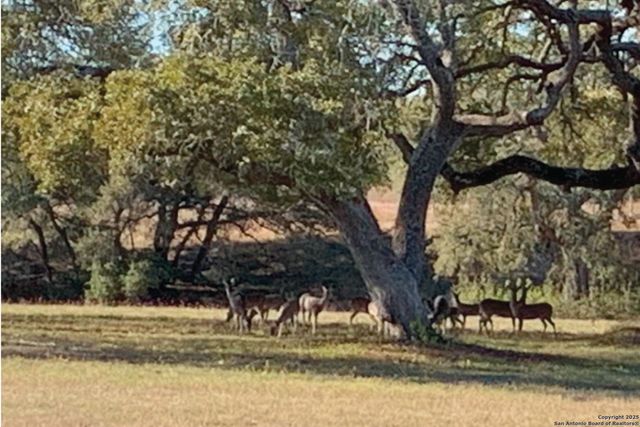 3200 auxiliary airport, Seguin, TX 78155