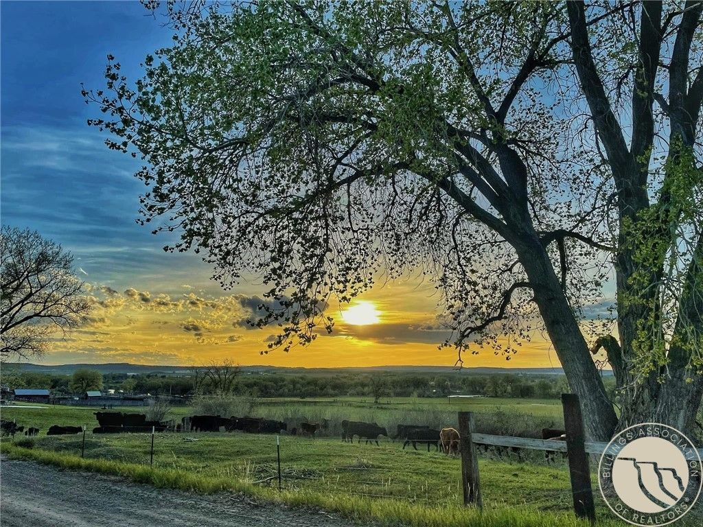 90 Edgar Fromberg Road, Fromberg, MT 59029 photo 23