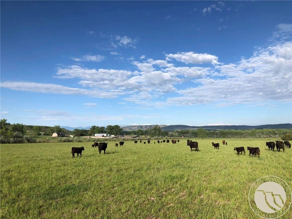 90 Edgar Fromberg Road, Fromberg, MT 59029 photo 9