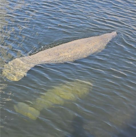 363 Centre Is, Golden Beach, FL 33160