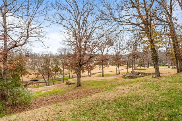 813 Holiday Ridge 3, Branson, MO 65616