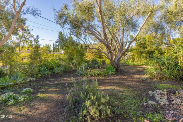 1227 Cruzero Street, Ojai, CA 93023