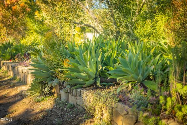 1227 Cruzero Street, Ojai, CA 93023