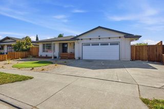 6446 Escallonia, Newark, CA 94560