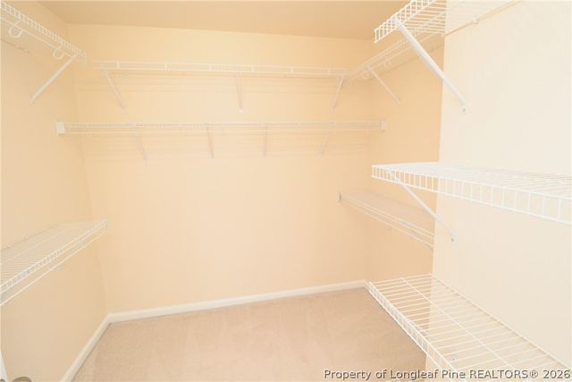 12554 Honeychurch Street, Raleigh, NC 27614