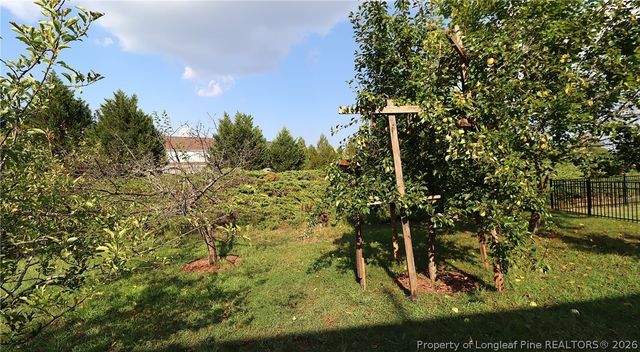 12554 Honeychurch Street, Raleigh, NC 27614