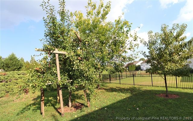 12554 Honeychurch Street, Raleigh, NC 27614