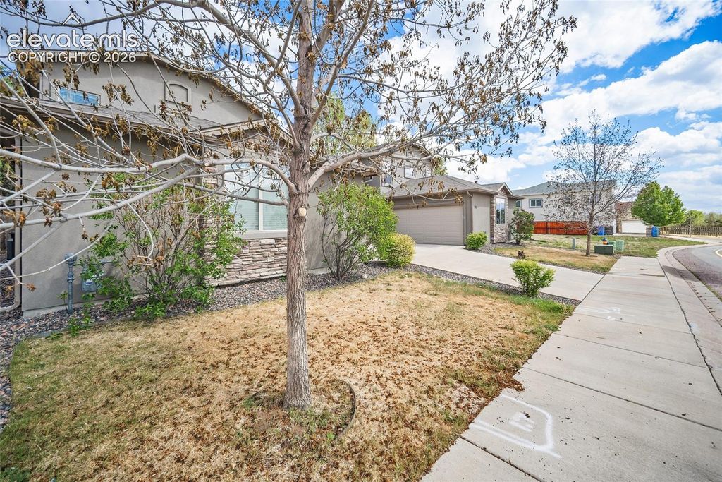 3723 Scott Lane, Colorado Springs, CO 80907 — photo 2