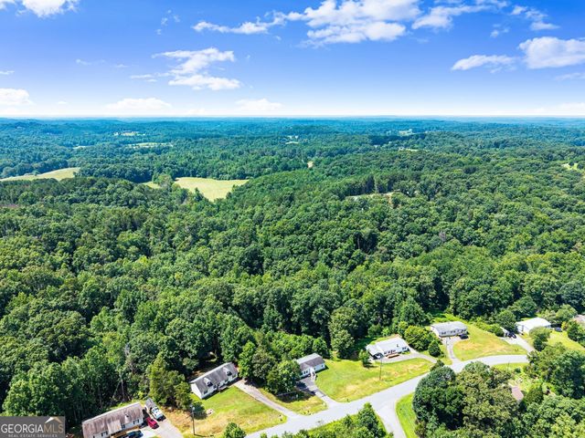 266 Robin Hood Drive, Murrayville, GA 30564