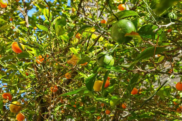 2902 Campbell Ln, Tracy, CA 95377