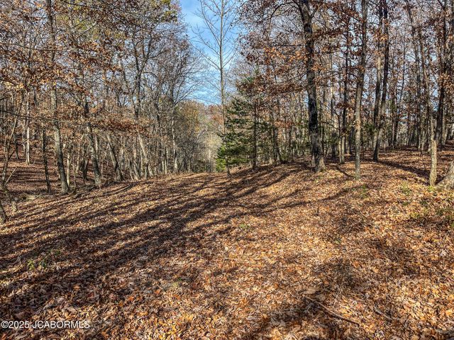 1702 CO RD 382, Holts Summit, MO 65043