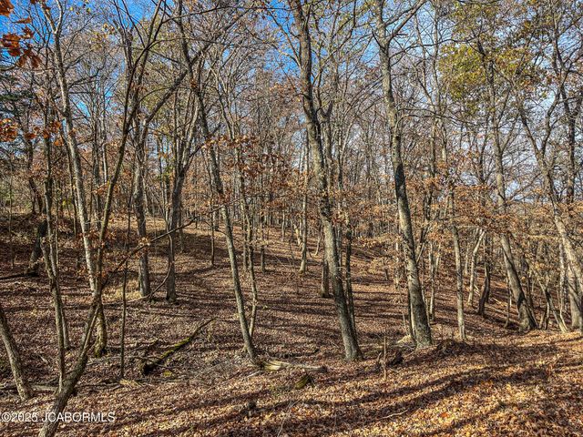 1702 CO RD 382, Holts Summit, MO 65043