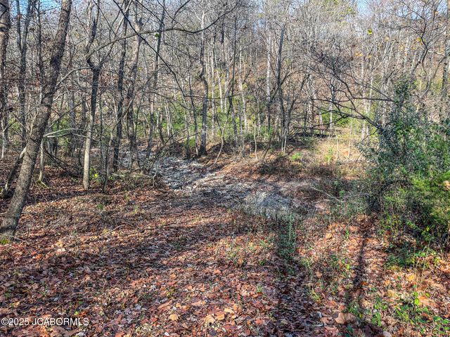 1702 CO RD 382, Holts Summit, MO 65043