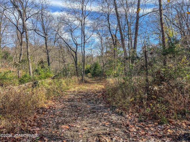 1702 CO RD 382, Holts Summit, MO 65043