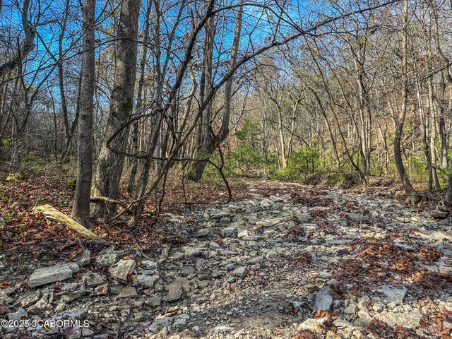 1702 CO RD 382, Holts Summit, MO 65043