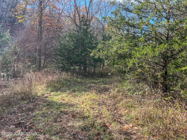 1702 CO RD 382, Holts Summit, MO 65043