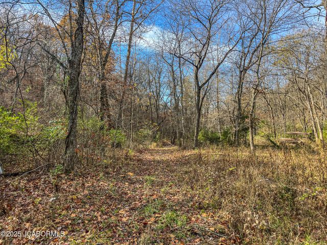 1702 CO RD 382, Holts Summit, MO 65043