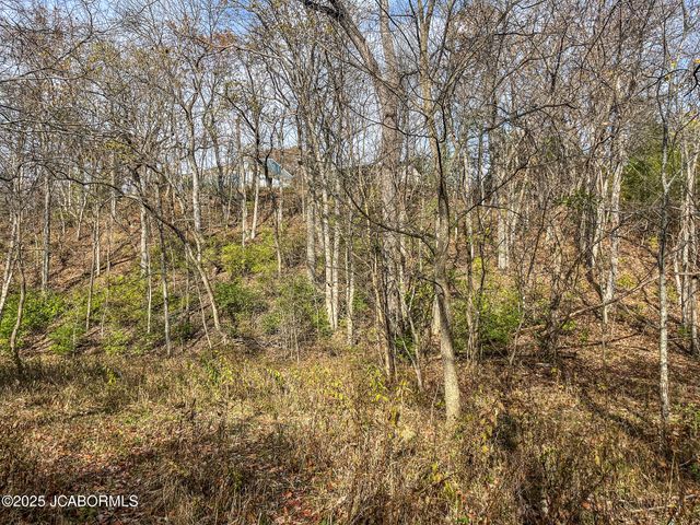 1702 CO RD 382, Holts Summit, MO 65043