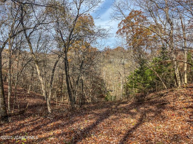 1702 CO RD 382, Holts Summit, MO 65043