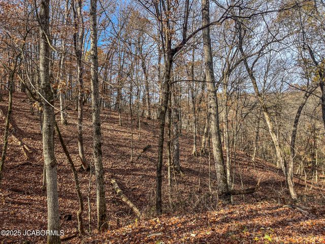 1702 CO RD 382, Holts Summit, MO 65043