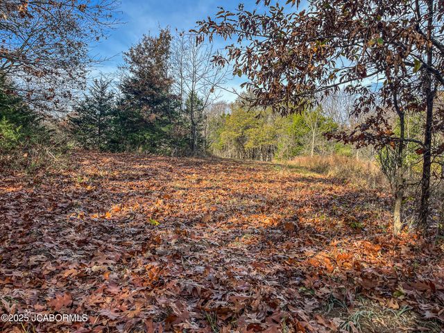 1702 CO RD 382, Holts Summit, MO 65043