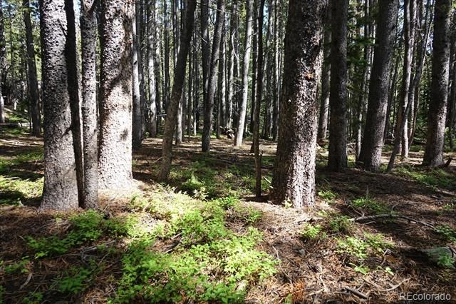 00 Upper Forest Rd, Idaho Springs, CO 80452