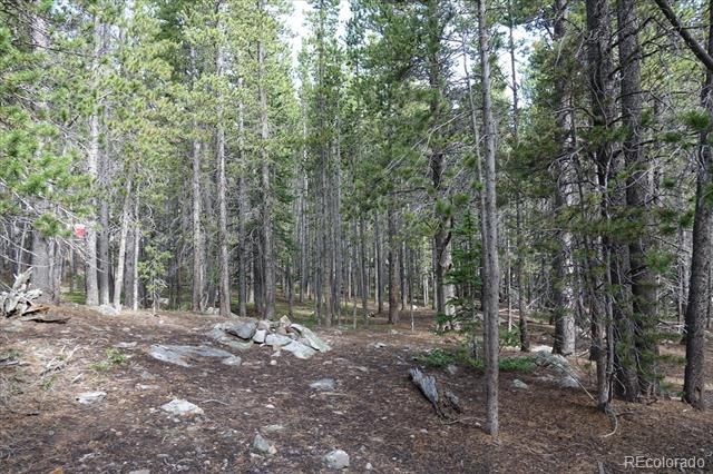 00 Upper Forest Rd, Idaho Springs, CO 80452