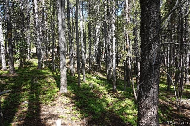 00 Upper Forest Rd, Idaho Springs, CO 80452