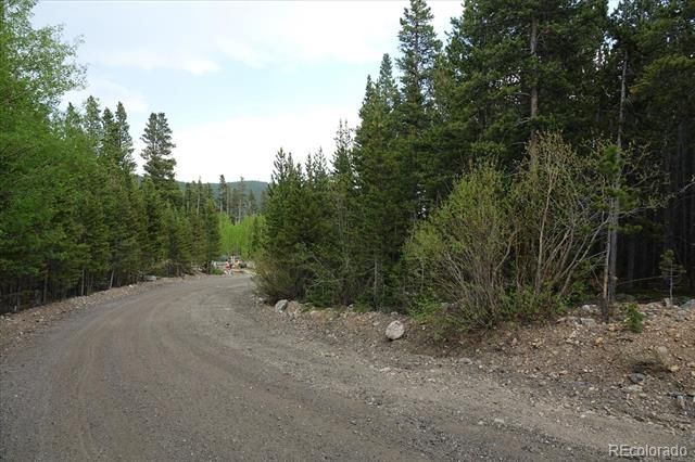 00 Upper Forest Rd, Idaho Springs, CO 80452