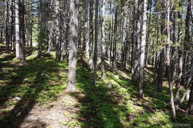 00 Upper Forest Rd, Idaho Springs, CO 80452