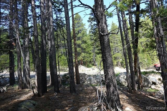 00 Upper Forest Rd, Idaho Springs, CO 80452