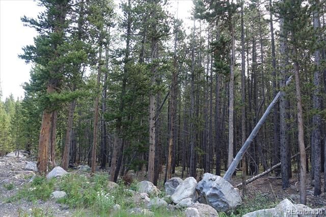 00 Upper Forest Rd, Idaho Springs, CO 80452